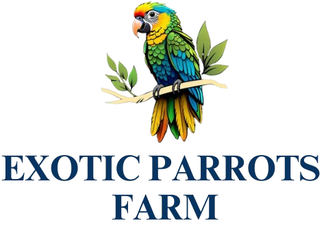 Exotic Parrots Farm